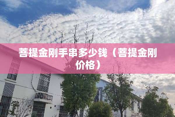 **金刚手串多少钱（**金刚价格）