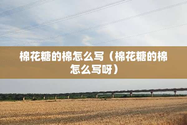 棉花糖的棉怎么写（棉花糖的棉怎么写呀）