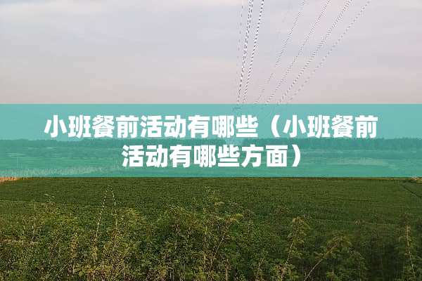 小班餐前活动有哪些（小班餐前活动有哪些方面）