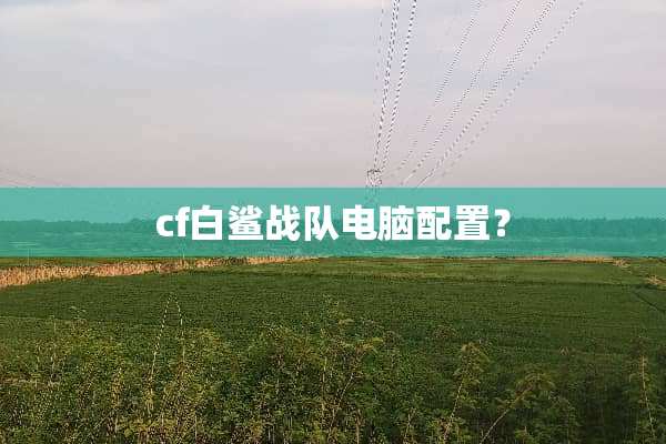cf白鲨战队电脑配置？