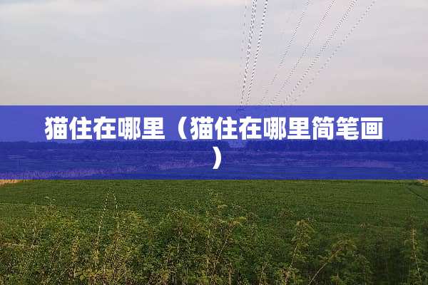 猫住在哪里（猫住在哪里简笔画）