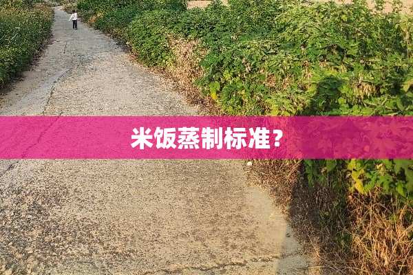米饭蒸制标准？