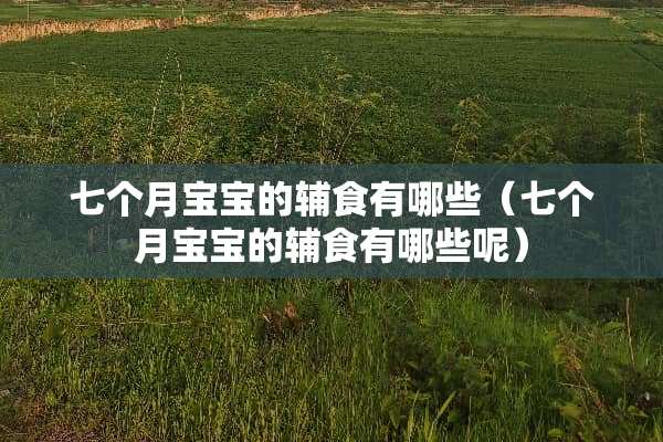 七个月宝宝的辅食有哪些（七个月宝宝的辅食有哪些呢）