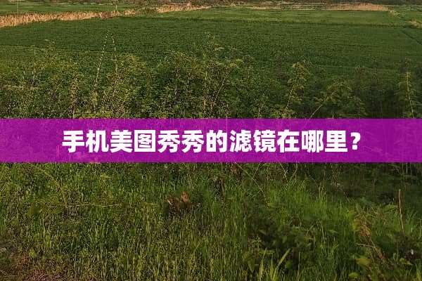 手机美图秀秀的滤镜在哪里？