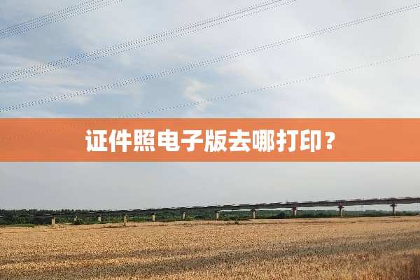 **照电子版去哪打印？