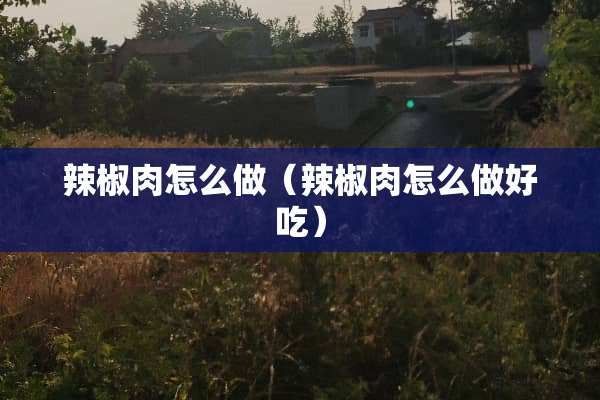 辣椒肉怎么做（辣椒肉怎么做好吃）