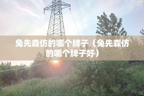 兔先森仿的哪个牌子（兔先森仿的哪个牌子好）