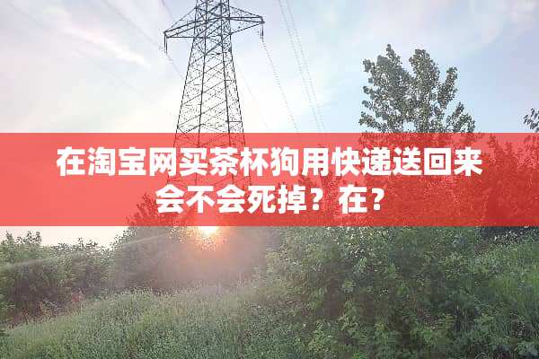 在淘宝网买茶杯狗用快递送回来会不会死掉？在？