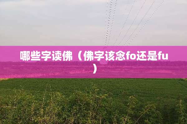 哪些字读佛（佛字该念fo还是fu）