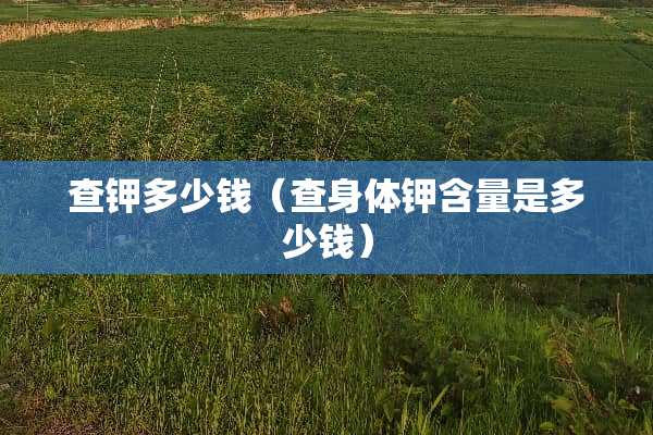 查钾多少钱（查身体钾含量是多少钱）