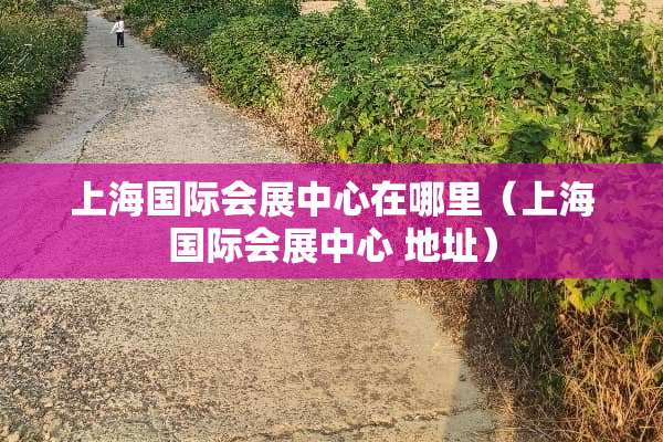 上海国际会展中心在哪里（上海国际会展中心 地址）
