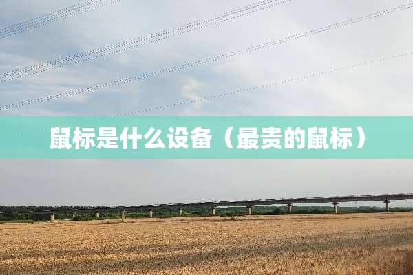 鼠标是什么设备（最贵的鼠标）