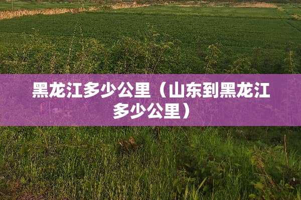 黑龙江多少公里（山东到黑龙江多少公里）