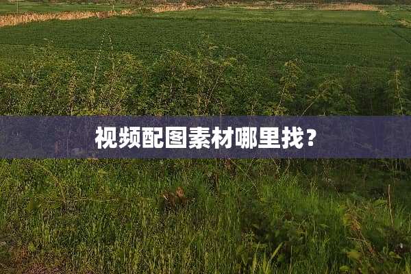 视频配图素材***？