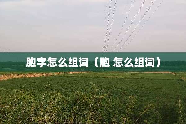 胞字怎么组词（胞 怎么组词）