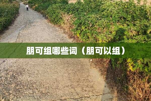 朋可组哪些词（朋可以组）