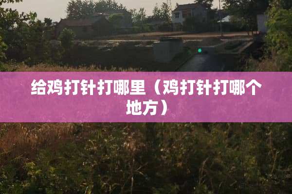 给鸡打针打哪里（鸡打针打哪个地方）