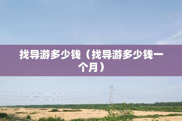找导游多少钱（找导游多少钱一个月）