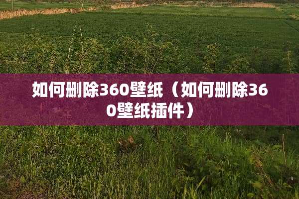 如何删除360壁纸（如何删除360壁纸插件）