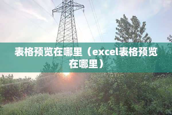 表格预览在哪里（excel表格预览在哪里）