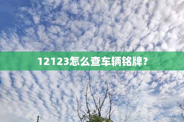 12123怎么查车辆铭牌？
