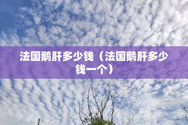 法国鹅肝多少钱（法国鹅肝多少钱一个）
