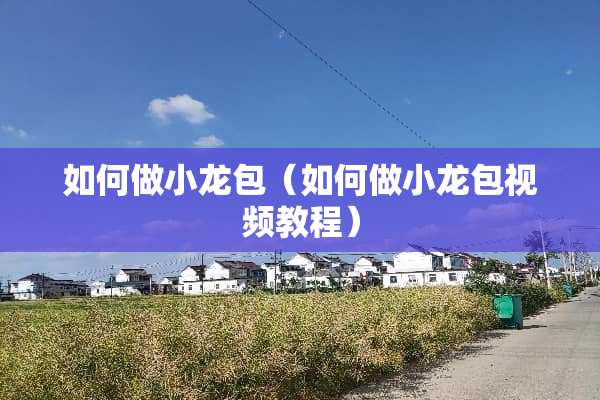 如何做小龙包（如何做小龙包视频教程）