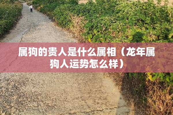 属狗的贵人是什么属相（龙年属狗人运势怎么样）