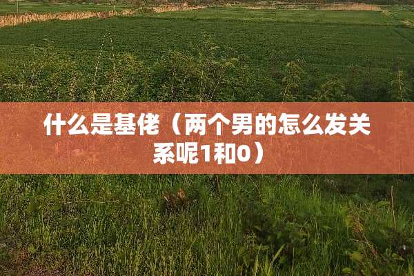 什么是基佬（两个男的怎么发关系呢1和0）
