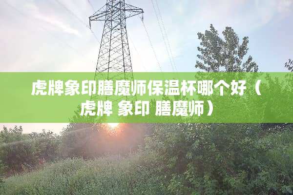 虎牌象印膳魔师保温杯哪个好（虎牌 象印 膳魔师）