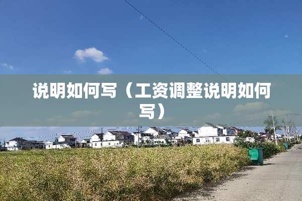说明如何写（工资调整说明如何写）