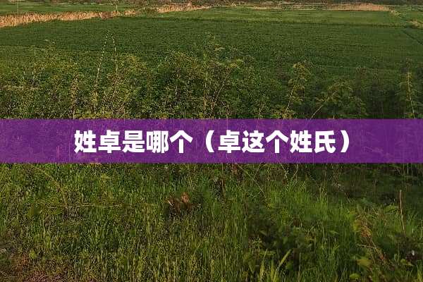 姓卓是哪个（卓这个姓氏）