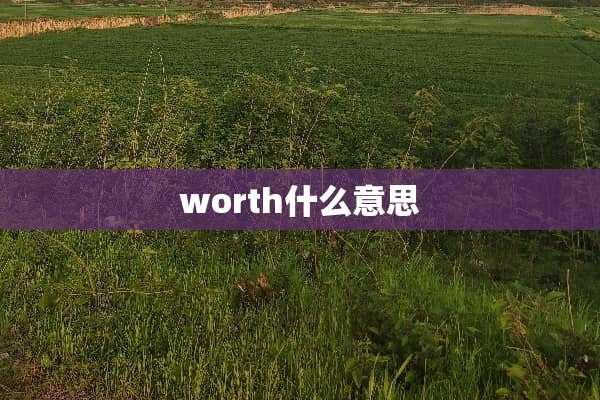 worth什么意思