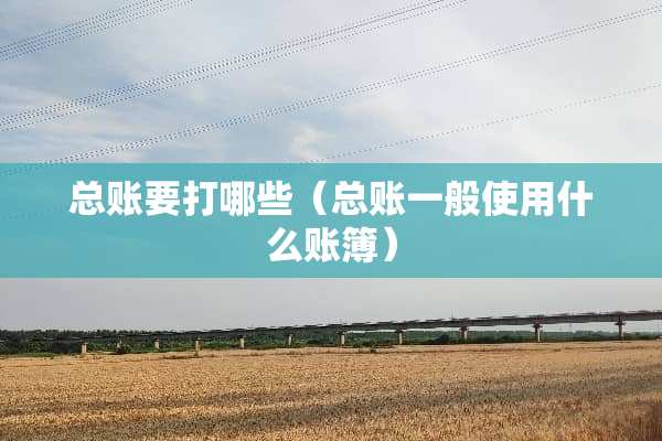 总账要打哪些（总账一般使用什么账簿）
