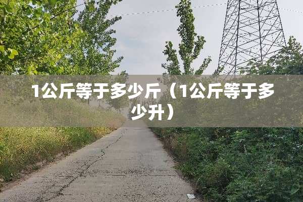 1公斤等于多少斤（1公斤等于多少升）