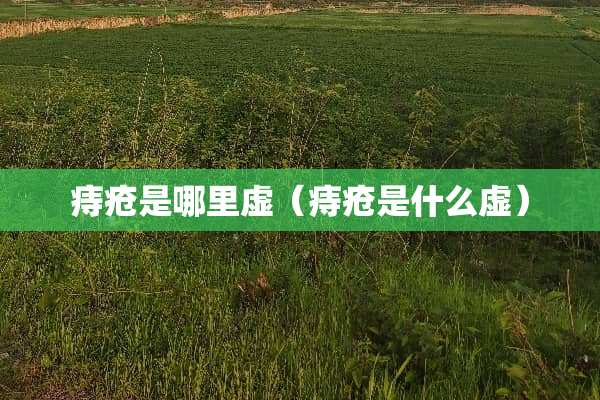 痔疮是哪里虚（痔疮是什么虚）