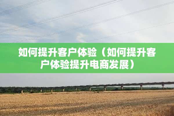 如何提升客户体验（如何提升客户体验提升电商发展）