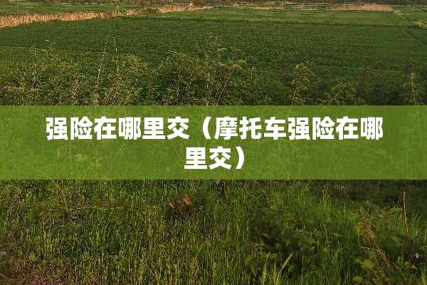强险在哪里交（摩托车强险在哪里交）