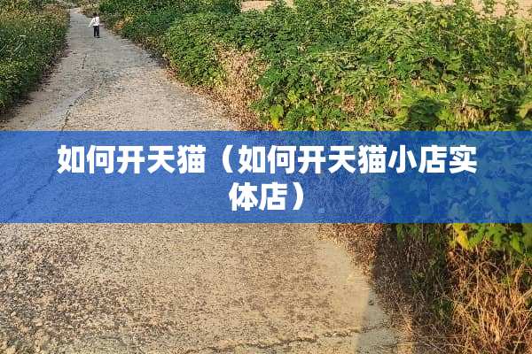 如何开天猫（如何开天猫小店实体店）