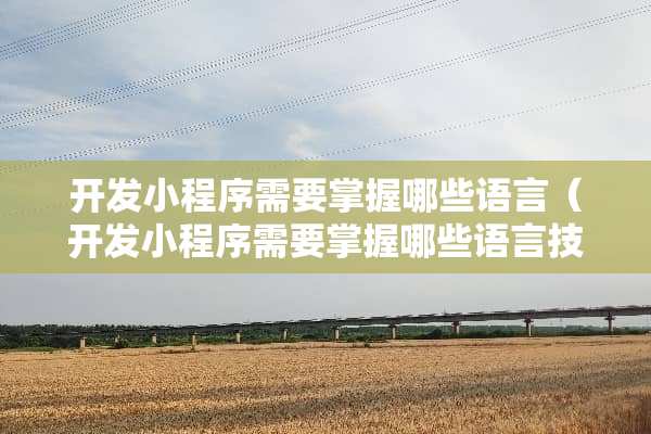 开发小程序需要掌握哪些语言（开发小程序需要掌握哪些语言技术）