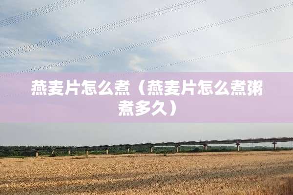 燕麦片怎么煮（燕麦片怎么煮粥煮多久）