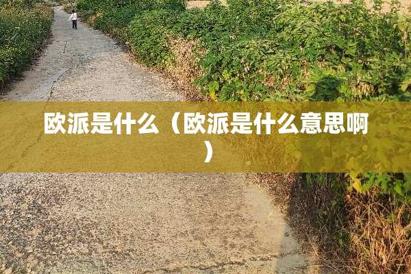 欧派是什么（欧派是什么意思啊）