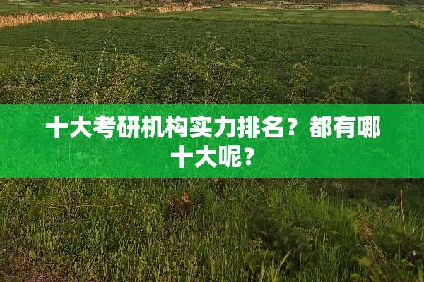 十大考研机构实力排名？都有哪十大呢？