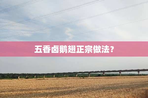 五香卤鹅翅正宗做法？