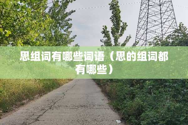 思组词有哪些词语（思的组词都有哪些）