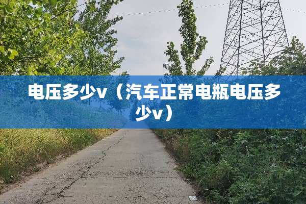 电压多少v（汽车正常电瓶电压多少v）