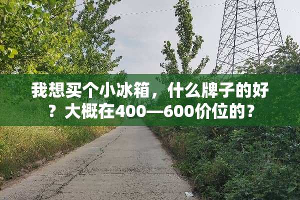 我想买个小冰箱，什么牌子的好？大概在400—600价位的？