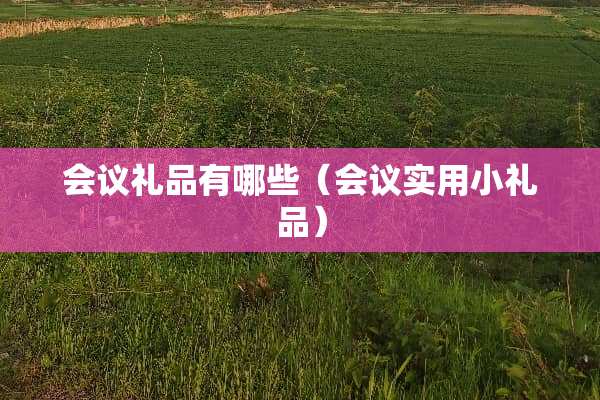 会议礼品有哪些（会议实用小礼品）