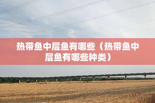 热带鱼中层鱼有哪些（热带鱼中层鱼有哪些种类）