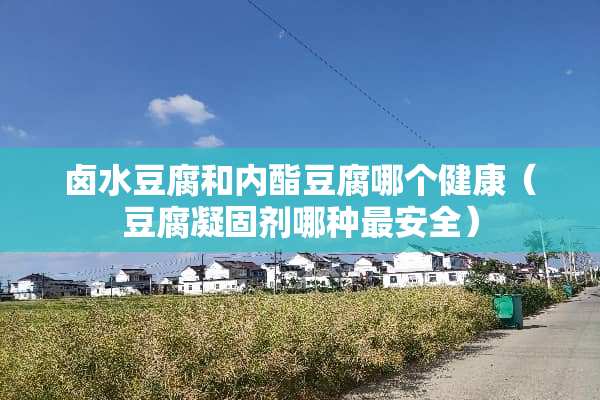 卤水豆腐和内酯豆腐哪个健康（豆腐凝固剂哪种最安全）